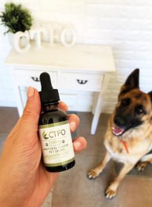 CBD for Pets